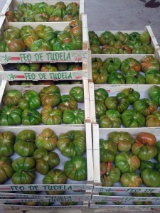 Charla para la mejora de tomates y pimientos locales de Navarra