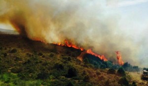 Incendio en la localidad de Cogolludo (Guadalajara). (Cadena Ser).