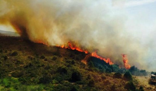 Siguen activos desde ayer dos incendios en la provincia de Guadalajara