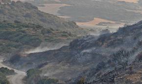 El balance definitivo del incendio de Ujué cifra en 770 las hectáreas afectadas, el 28% de ellas con arbolado