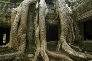 Mahendraparvata, ciudad deshabitada hace más de 500 años en la espesa jungla de Camboya. 