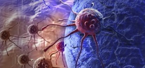 Las claves de la Organización Mundial de la Salud para prevenir el cáncer