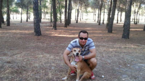 Perro
