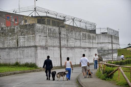 Ladridos contra el estrés: terapia canina en cárceles de Ecuador