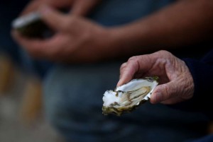 © Proporcionado por AFP Ostras recientemente pescadas el 31 de julio de 2014 en Inverness, California