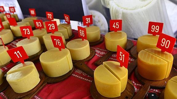 Un queso Idiazábal navarro, séptimo mejor del mundo
