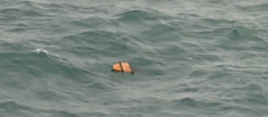 Restos del avión de AirAsia hallados en el mar de Java
