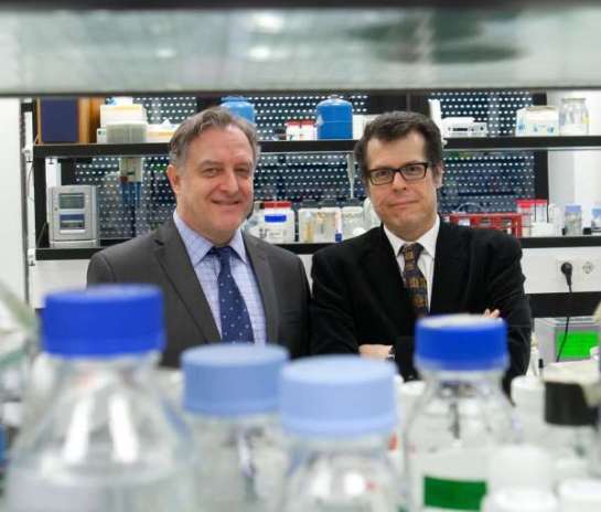 Sólo un 2% de los recursos de investigación en hepatología es para enfermedades de origen alcohólico, según un experto