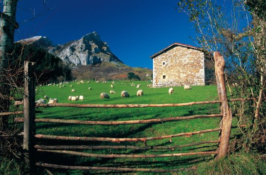 El Gobierno de Navarra convoca subvenciones de 1,76 millones para el sector turístico y comercial