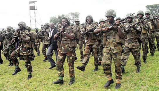El Ejército de Nigeria destruye el cuartel general de Boko Haram