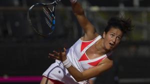 Arruabarrena-FedCup