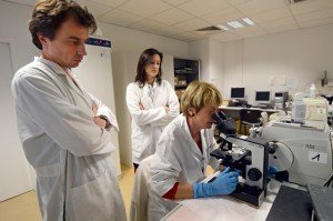 Investigadores descubren una proteína que aumenta la inmunidad a los virus y el cáncer