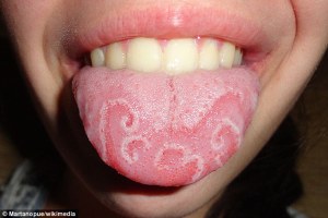 Lengua geográfica