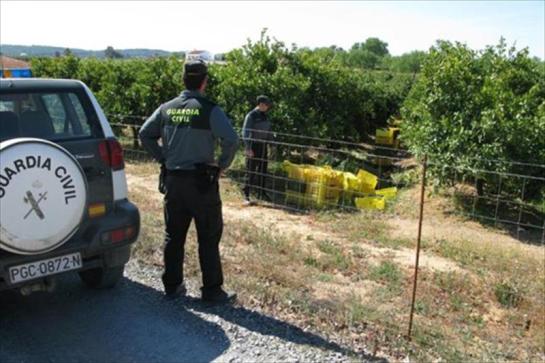 Los robos en el campo caen un 7,29% en Navarra en 2014
