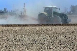 Los agricultores y ganaderos podrán beneficiarse de reducciones significativas en los módulos del IRPF-Moncloa