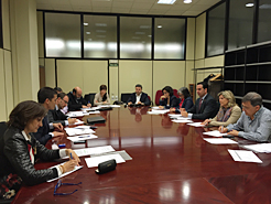 Reunión del Consejo Navarro de la Discapacidad, presidida por el consejero Alli.