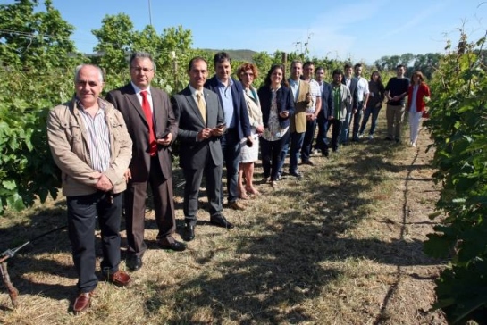 Desarrollan una aplicación que permite determinar flores en viñedo y predecir el volumen de la cosecha