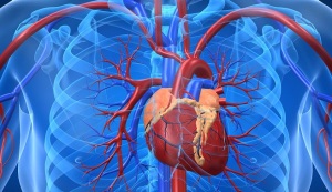 Consejos-para-prevenir-las-enfermedades-cardiovasculares