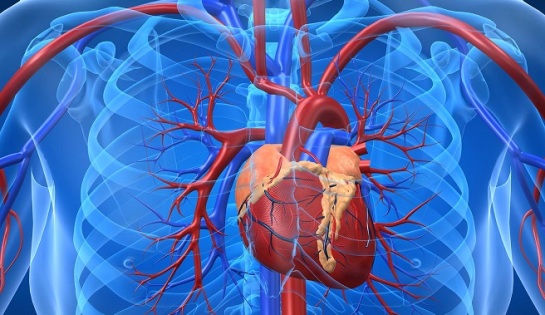 Las enfermedades cardiovasculares, un peligro oculto tras la cura del cáncer