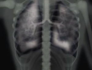 theclinic.cl