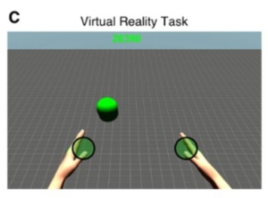 Imagen de la realidad virtual mostrada a los pacientes. (UPF)