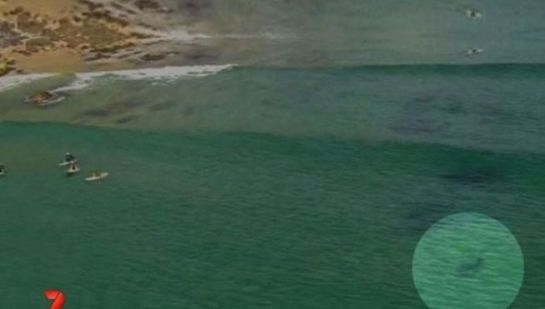 Angustioso momento en el que un tiburón se acerca a unos surfistas