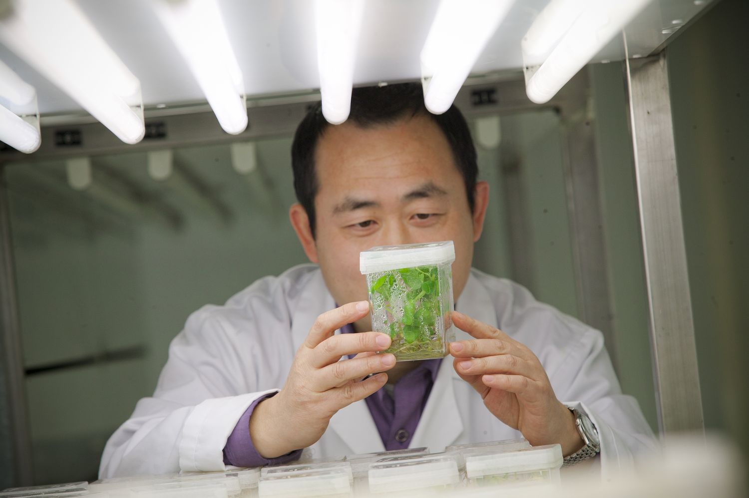 Un curso de la UPNA versará sobre las plantas en alimentación, salud y educación