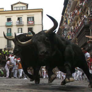 Cuarto encierro de San Fermín 2015 rápido y limpio con los Fuente Ymbro