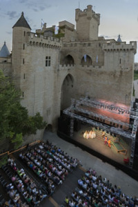 La programación del festival incluye las "Joyas del Palacio”, obras a cargo de compañías nacionales y los “Clásicos de aquí”, con propuestas de grupos navarros.