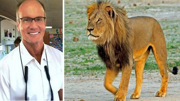 Zimbabue pide a EEUU la extradición del cazador que mató al león 'Cecil'