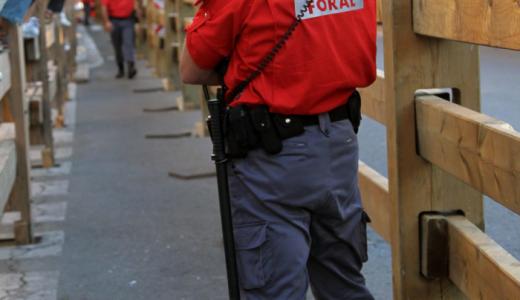 Ochenta policías forales velarán por la seguridad durante las fiestas patronales de Tudela