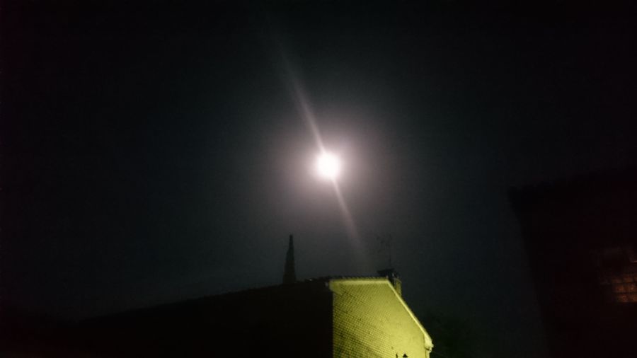 Muere la primera planta en brotar en la cara oculta de la Luna