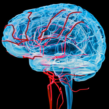 Un análisis de sangre podría indicar la gravedad de una contusión cerebral