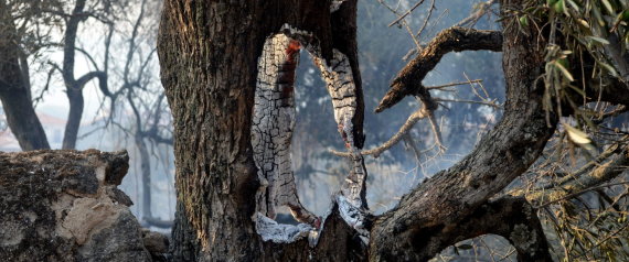 Estabilizado el incendio de Sierra de Gata tras una noche con menos viento