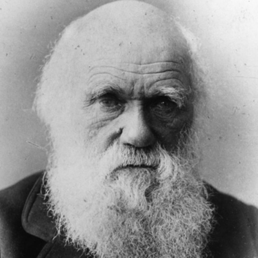 A subasta una carta de Darwin en la que deja claro que no cree en la Biblia
