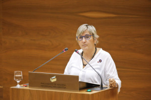Marisa de Simón (A.P.F. Izquierda-Ezkerra) parlamento 2015