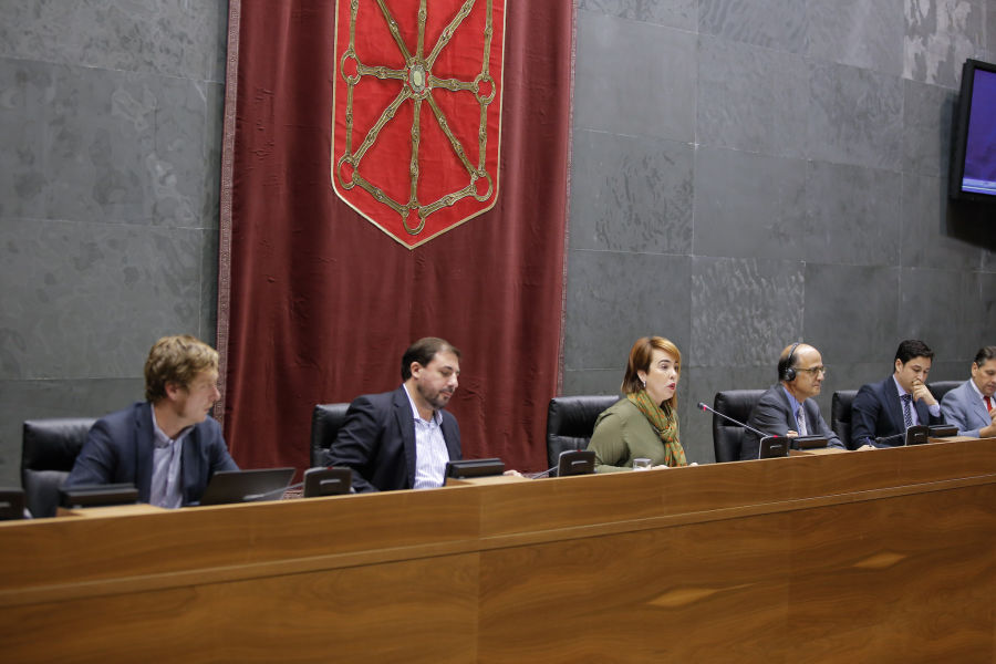 El Parlamento deberá valorar si 