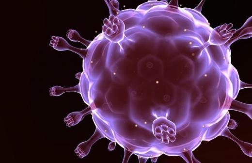 Descubren una defensa natural contra el virus del SIDA