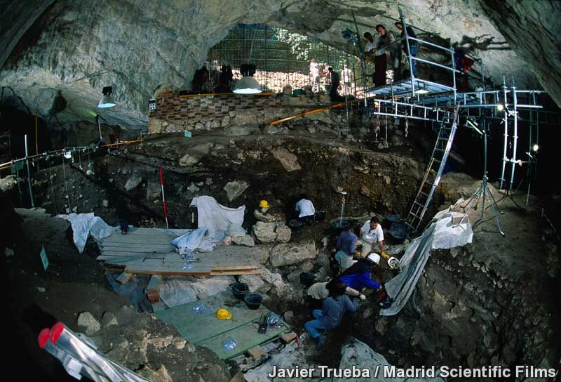 Los vascos son los descendientes ibéricos más directos de agricultores de hace 7.000 años