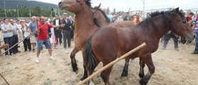 Programación Ferias de San Andrés de Estella 2017