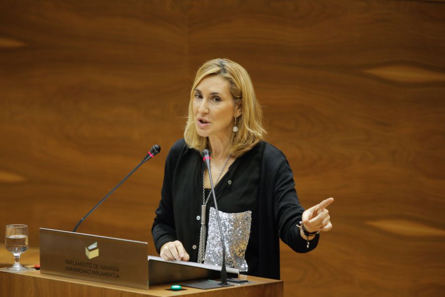 Rechazada la toma en consideración de la PLF de Apoyo Integral a las Familias