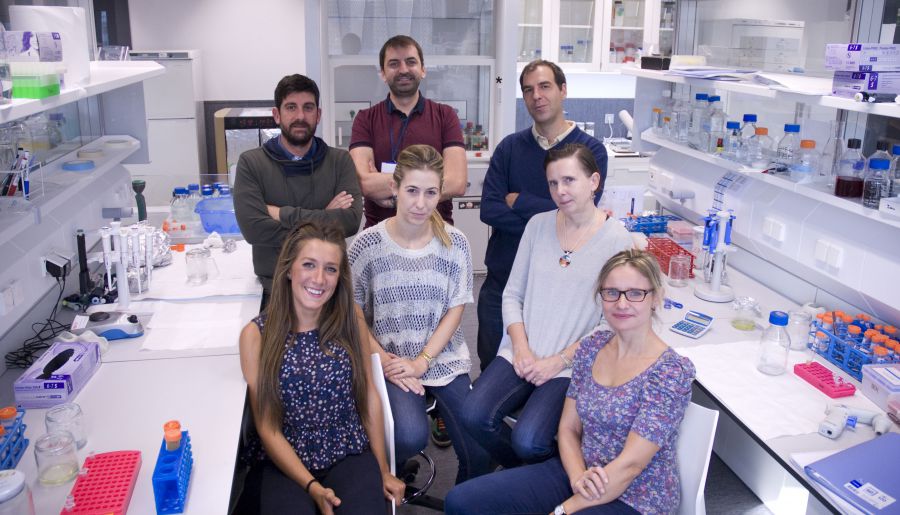 Navarrabiomed identifica el funcionamiento de las células causantes del progreso y metástasis del cáncer