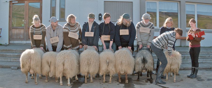 El valle de los carneros', de Grímur Hákonarson, Espiga de Oro del Festival de Valladolid