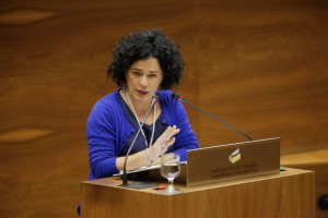 Inma Jurío PSN parlamento 2015