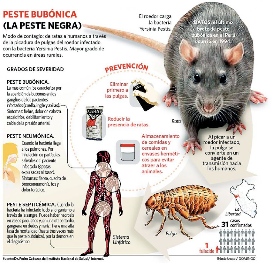 Una joven de EEUU ingresada aparentemente por peste bubónica
