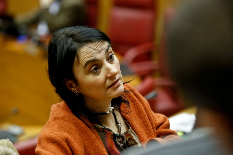Nekane Pérez, elegida nueva coordinadora de Aralar Navarra con el apoyo 90% de los votos