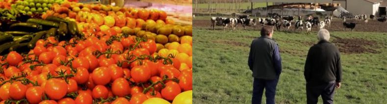El Gobierno de Navarra destina 9 millones de euros para la industria agroalimentaria