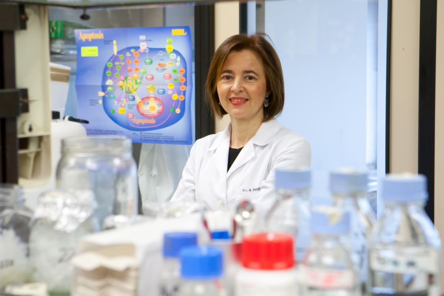 'American Journal of Clinical Nutrition' publica un estudio liderado por la Universidad de Navarra