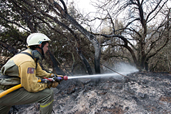 En diciembre ardieron en Navarra casi tantas hectáreas como en el resto de 2015