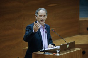 Adolfo Araiz (G.P. EH Bildu) parlamento 2015